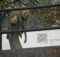 DSCN6068.JPG